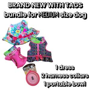 BNWT 4 piece Vibrant Dog Bundle